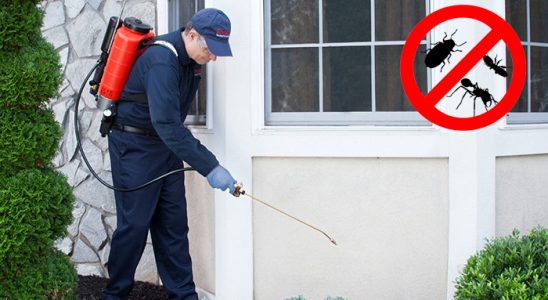 Kadıköy Akrep İlaçlama böcek ilaçlama ve haşere kontrolü — ilaclama-tr.com